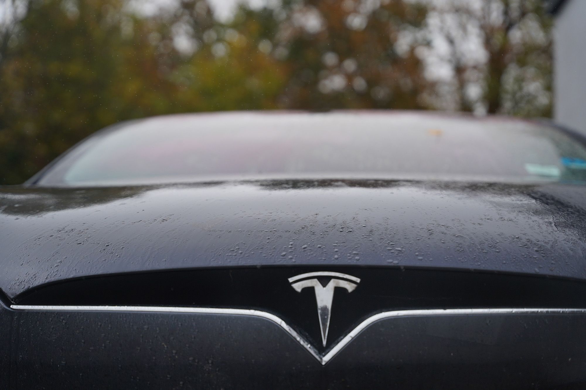 Tesla front badge